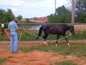 Obrazek